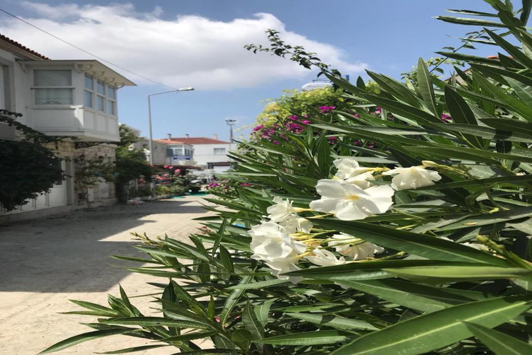 Beyaz Ev Hotel Alaçatı Exteriér fotografie